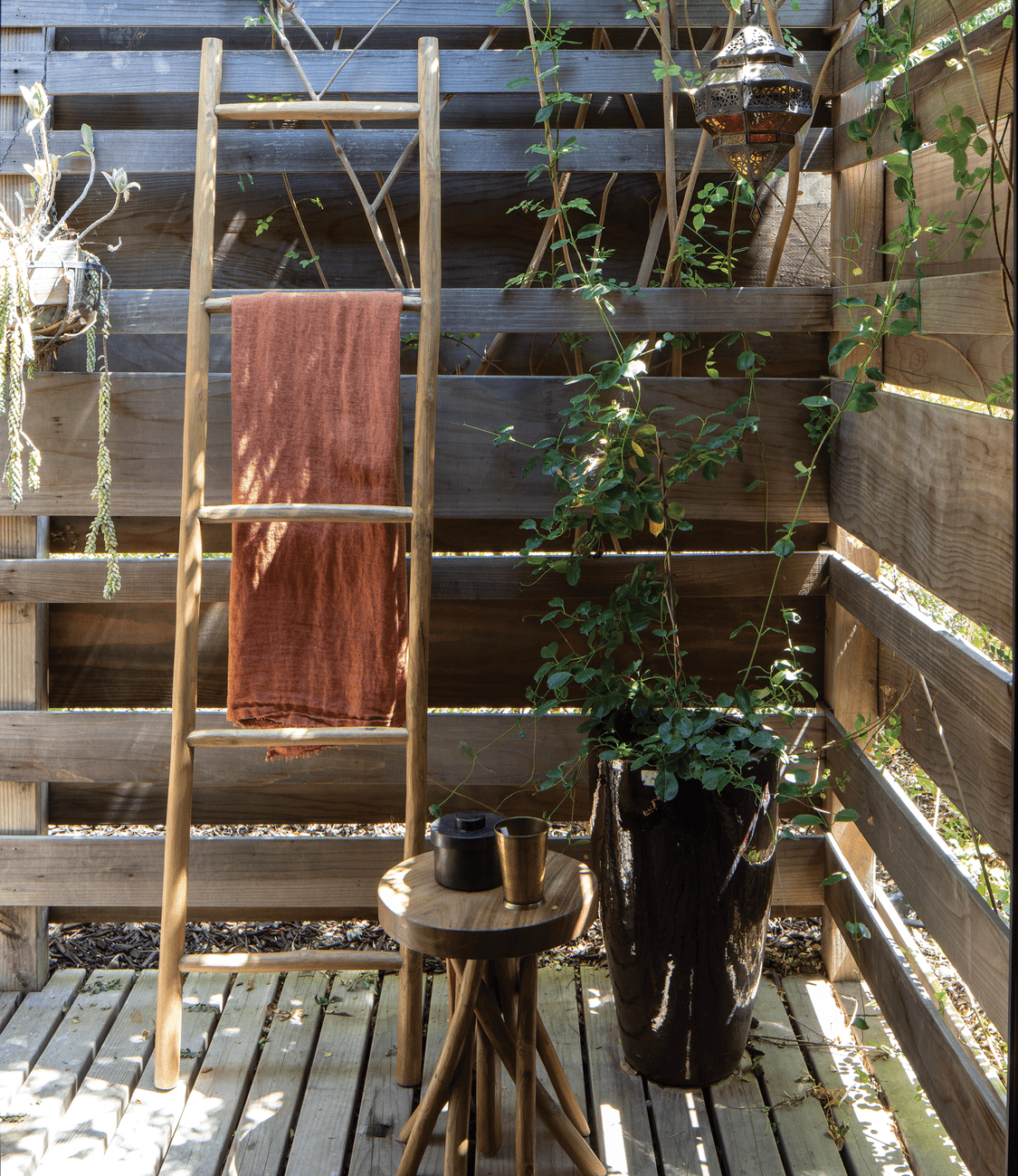 Refuge in the Foothills #10