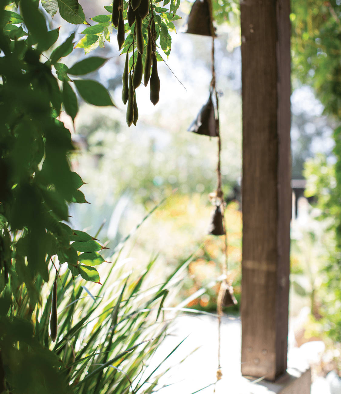 Refuge in the Foothills - Photo by Meghan Bob Photography