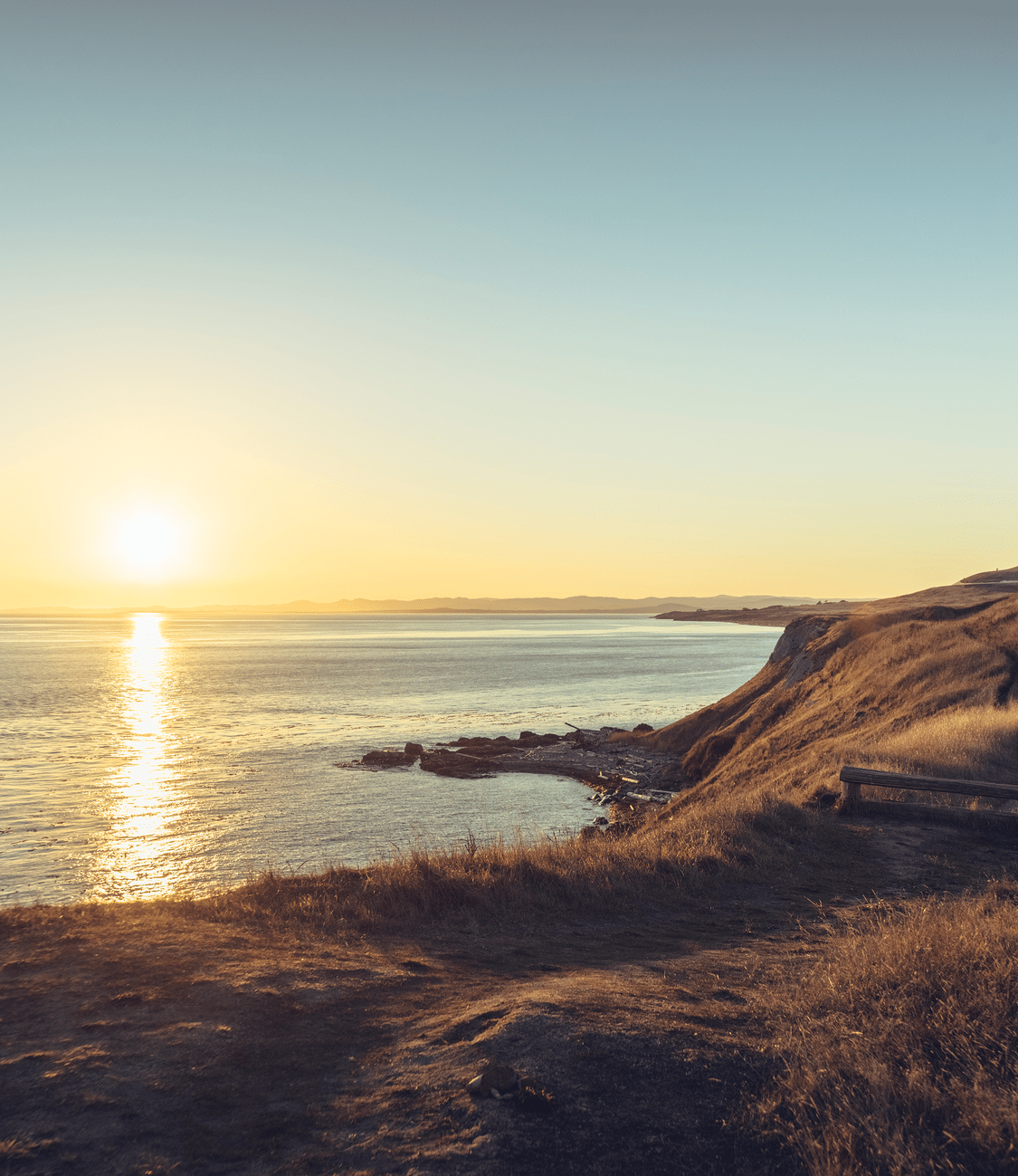 A Whale of a Time #3