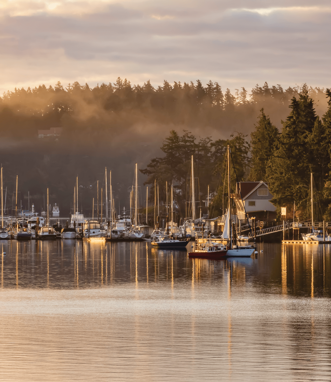 A Whale of a Time #4