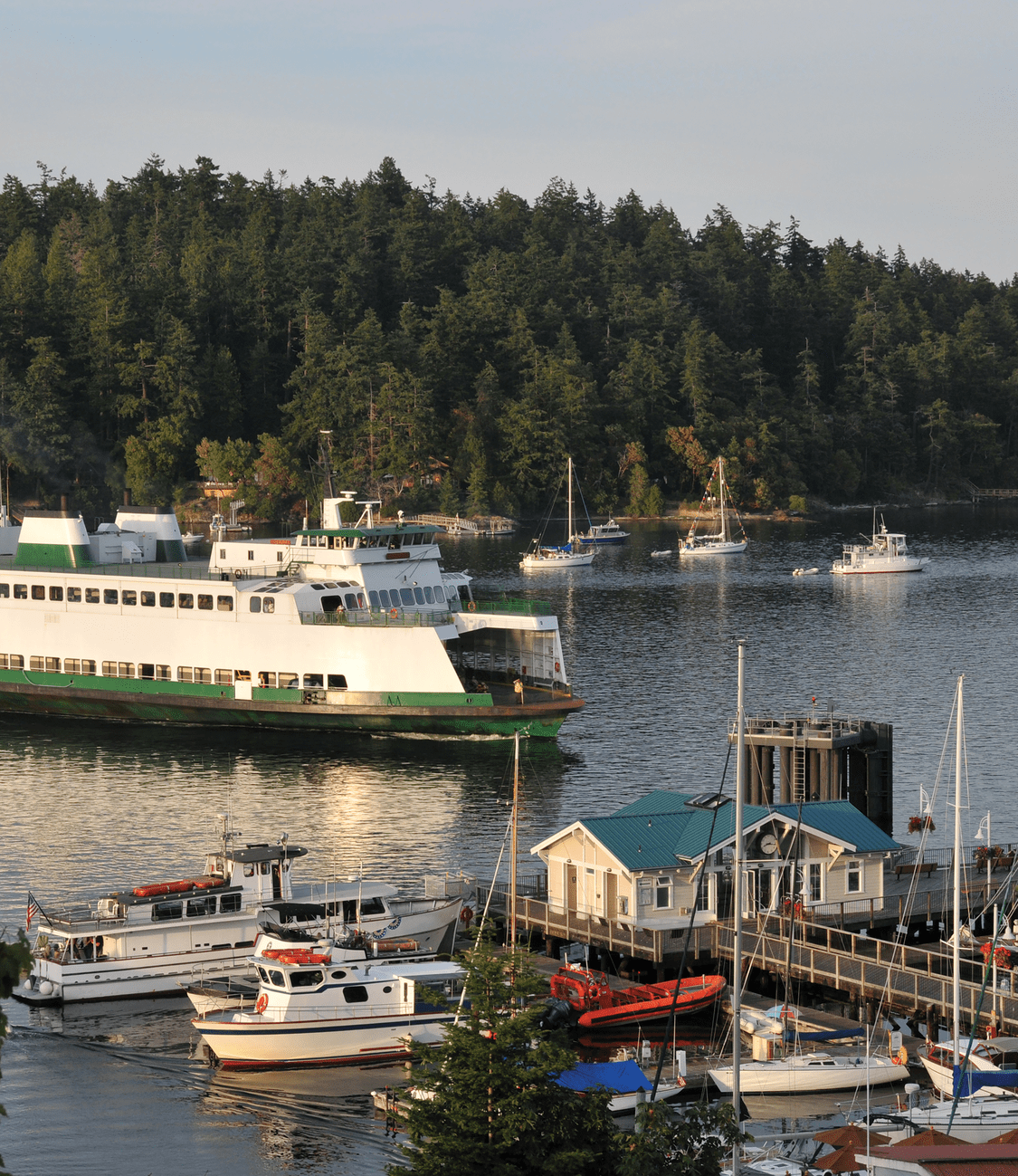 A Whale of a Time #5